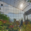 Greenhouse