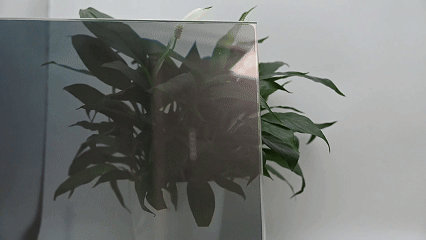 7月1日(2).gif