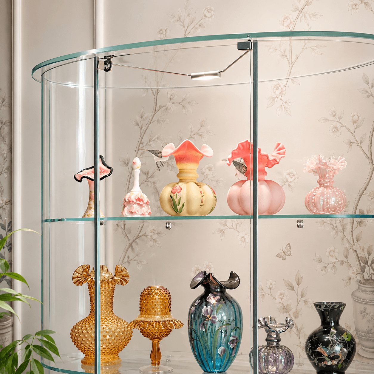 Curved Glass Display Case