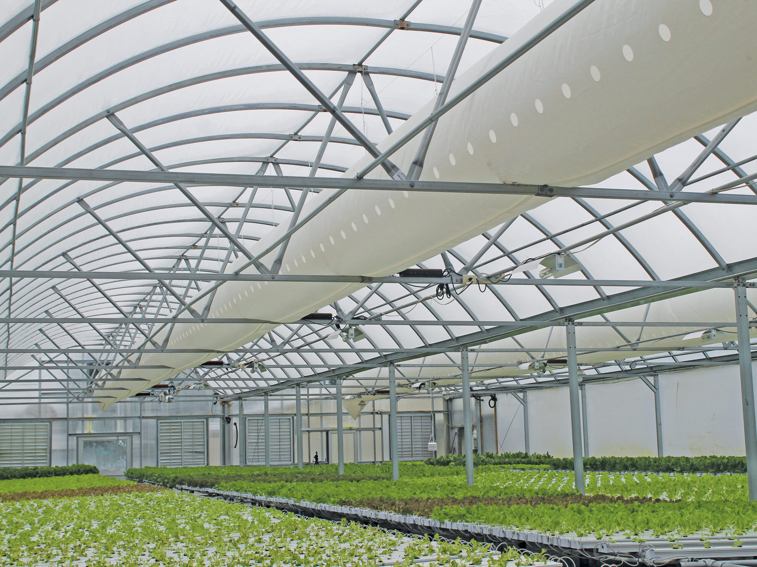 Agricultural Glass Greenhouse Projects