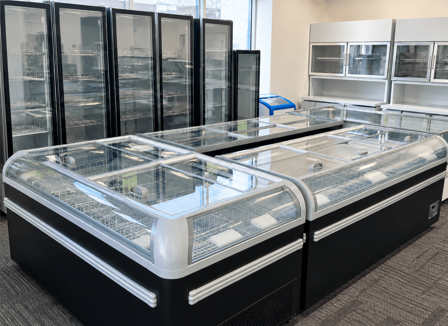 Cold Storage Equipment Glass