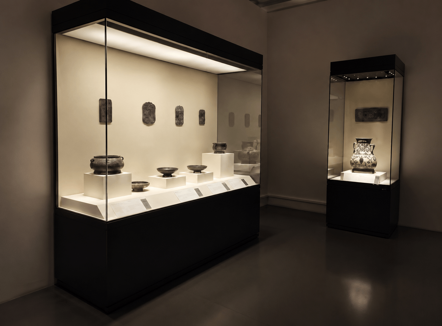 Museum Glass Display Cases