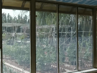 Sunroom effect.gif