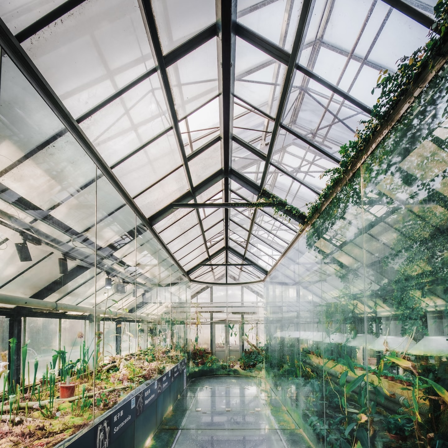 Safety Glass Greenhouse for Schools