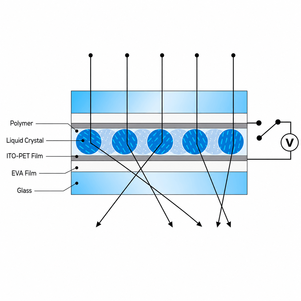Particle arrangement of SpectraVeil PDLC (Off).png