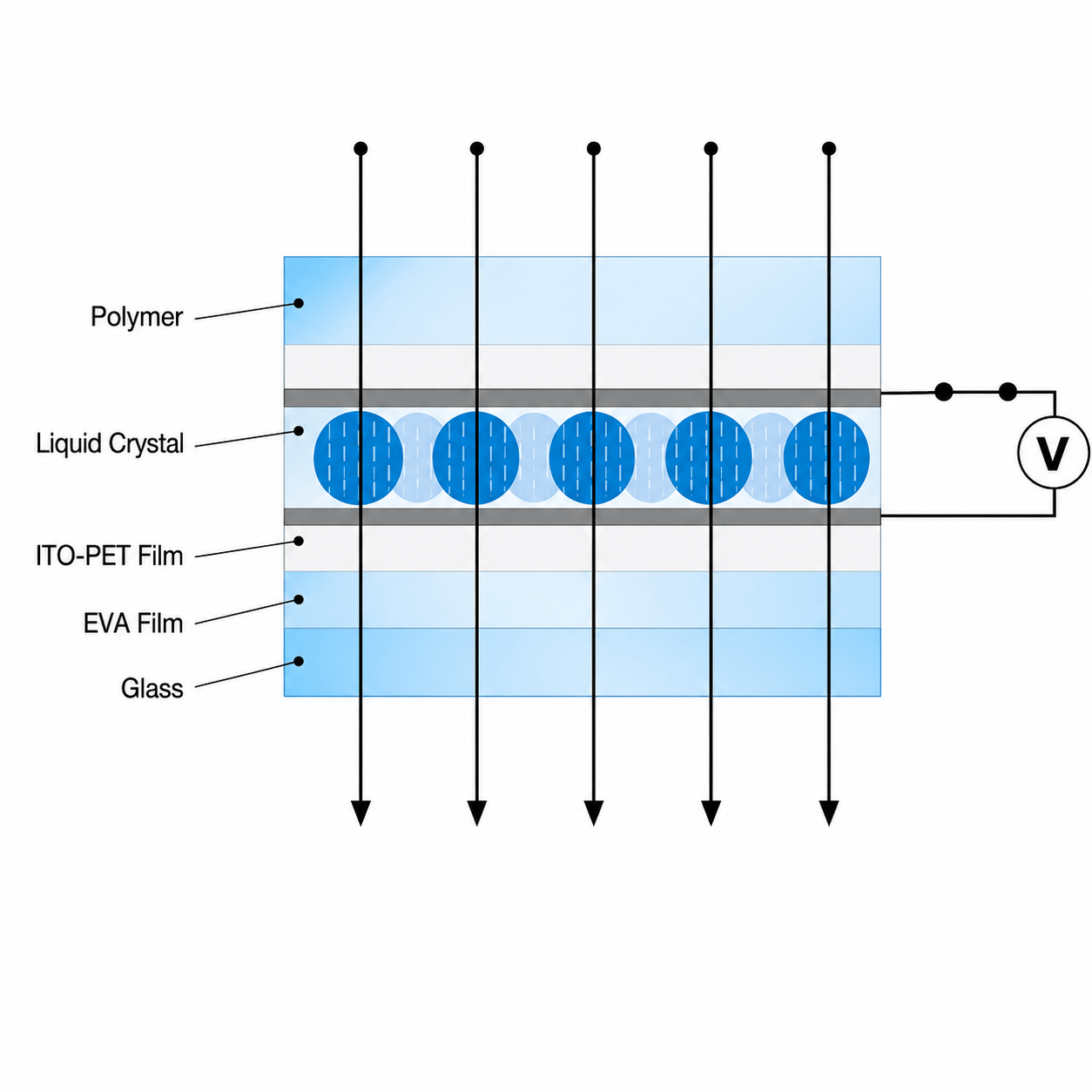 Particle arrangement of SpectraVeil PDLC (On).png