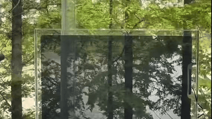 The effect of SpectraNyx Glass.gif