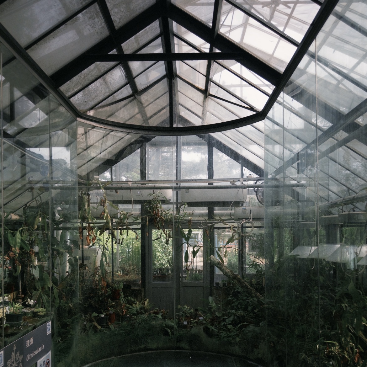 Community Growing Spaces