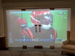 Projection Display.gif