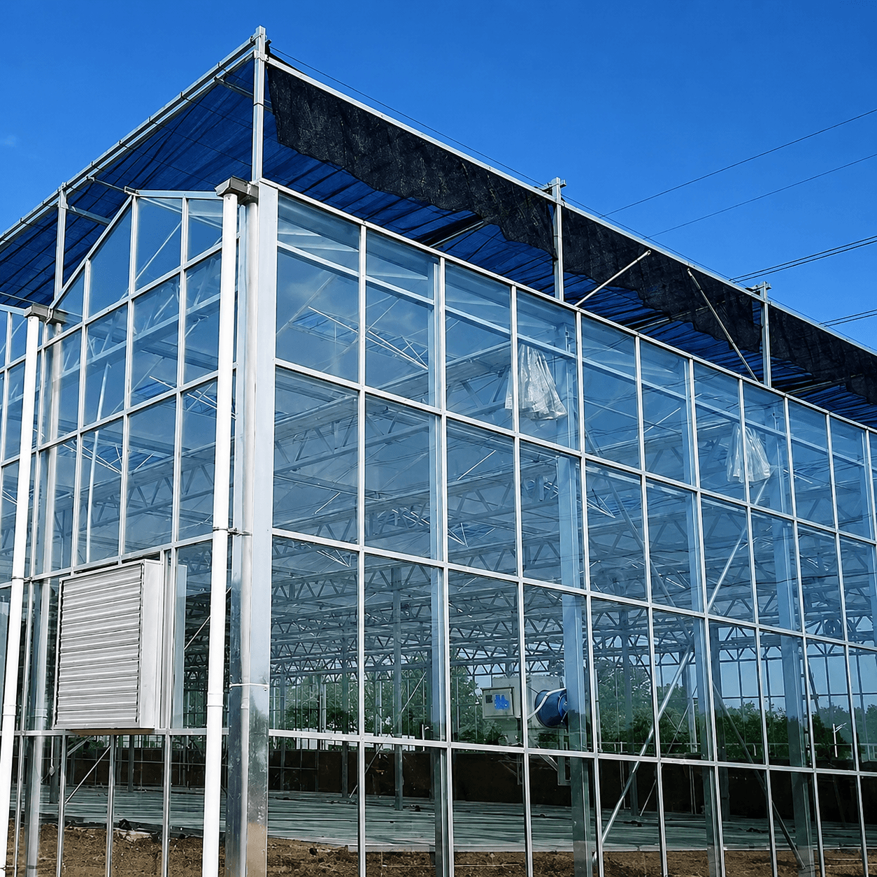 Commercial Small-Scale Farming Glass Greenhouse