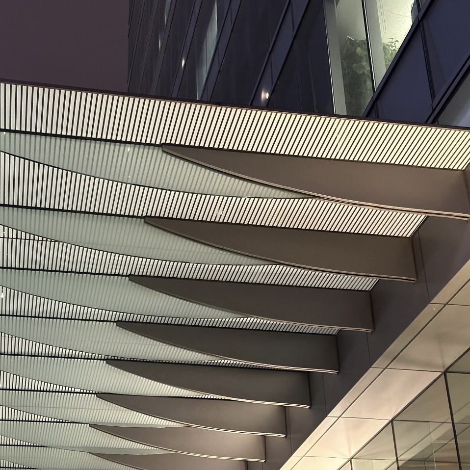 Glass Fin