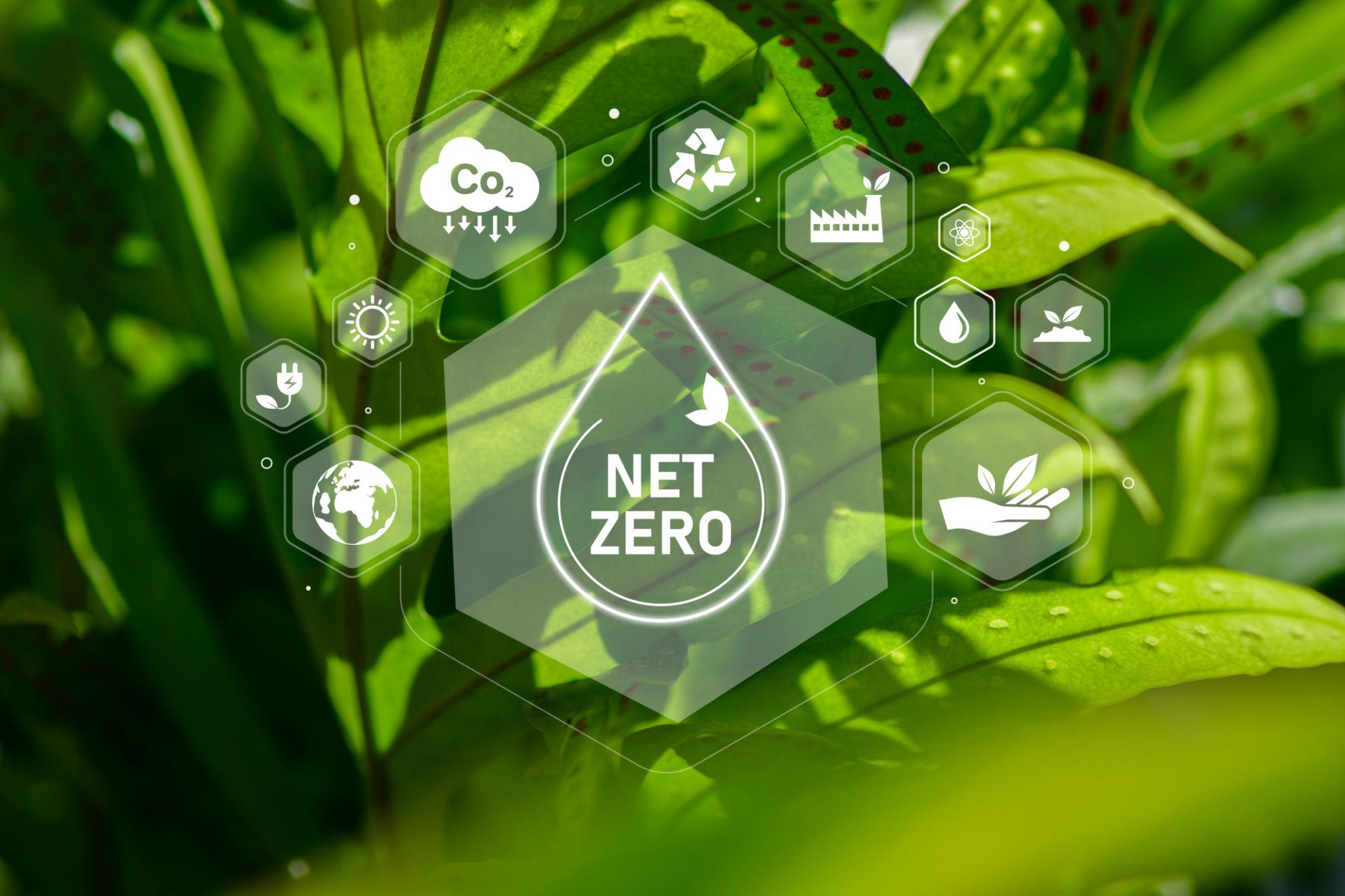Supporting ESG and Net-Zero Building Goals.jpg