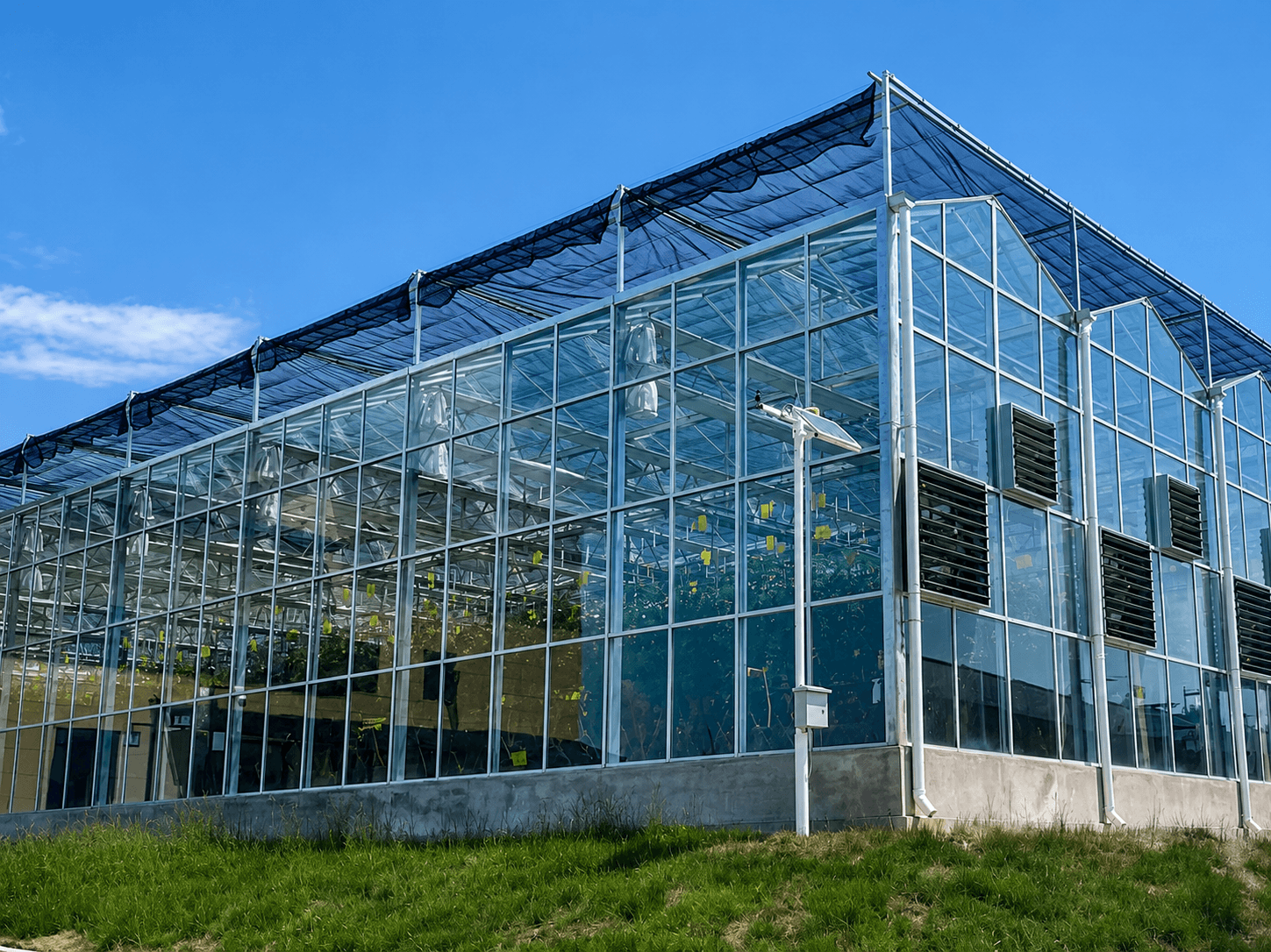 Agricultural Glass Greenhouses